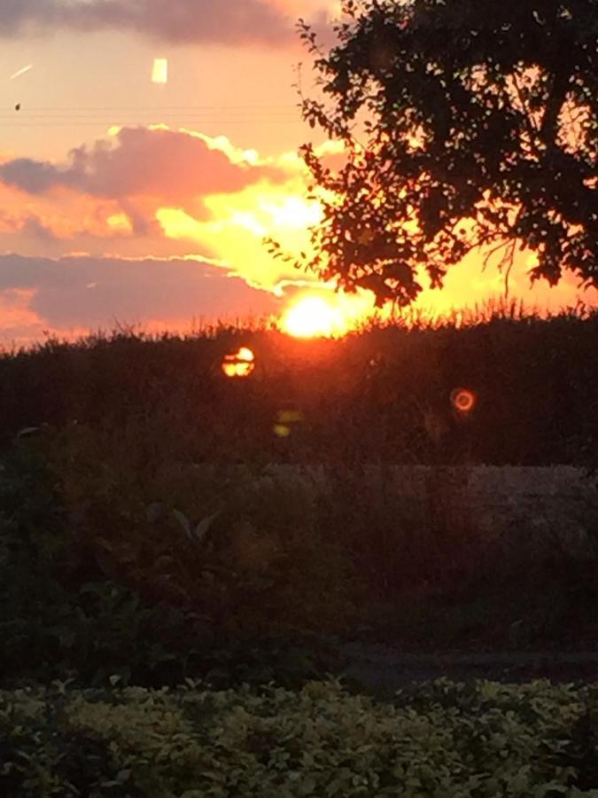 Little Dunmow Corner House Luxury Bnb מראה חיצוני תמונה